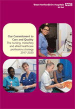 Picture of The nursing, midwifery and allied healthcare professions strategy 2017-2020