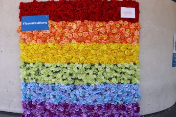 Picture of flower wall