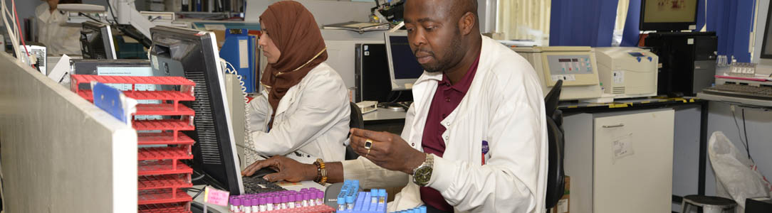 Picture of two staff in a laboratory who are bott sitting at computer screens. One member of staff is holding a sample tube.