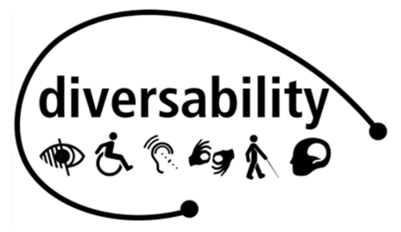 Picture of the logo for Diversibility